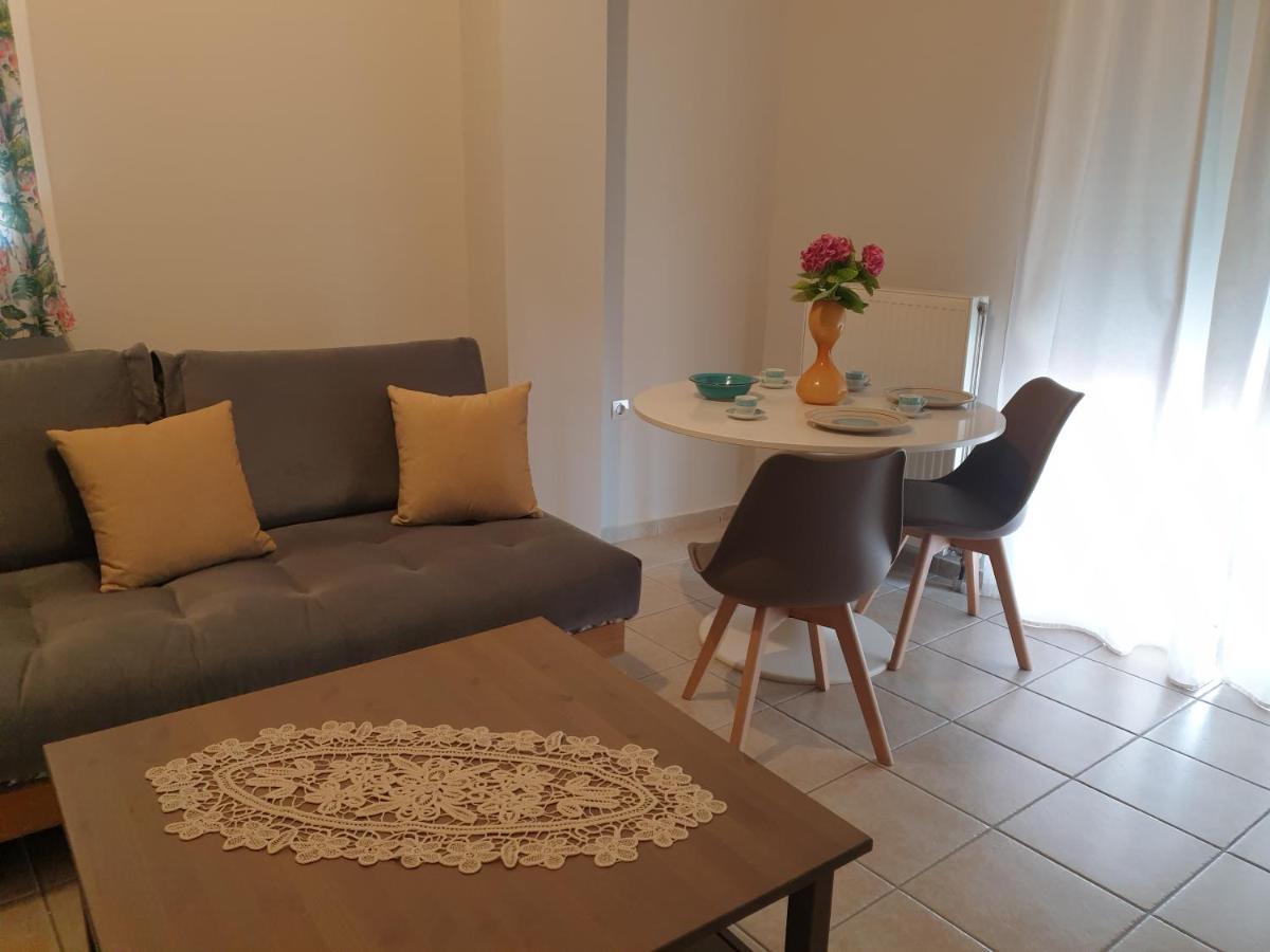 Comfortable Apartment In The Center Of Volos Very Close To The Port ภายนอก รูปภาพ
