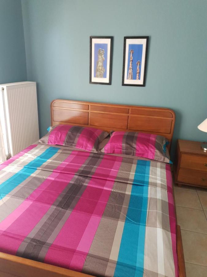 Comfortable Apartment In The Center Of Volos Very Close To The Port ภายนอก รูปภาพ